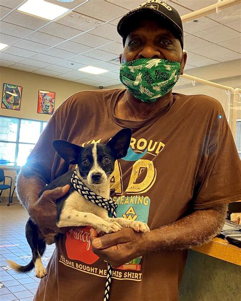 mesquite animal shelter|Iba pa.